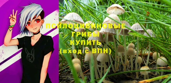 apvp Аркадак