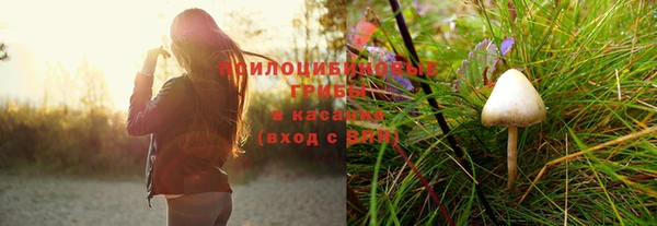 соль курить ск Арсеньев