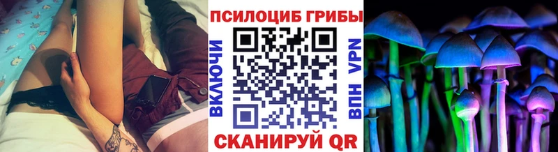 купить  сайты  Малоархангельск  Галлюциногенные грибы Cubensis 