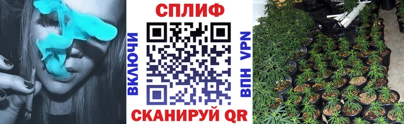 цены наркотик Малоархангельск Конопля White Widow